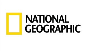 tv logos 308